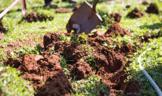 a shovel sitting next to exposed soil