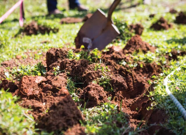 a shovel sitting next to exposed soil