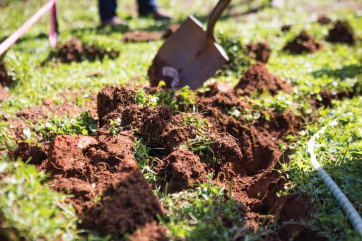 a shovel sitting next to exposed soil