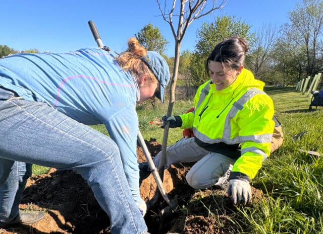 two people smile while they plant a large tree